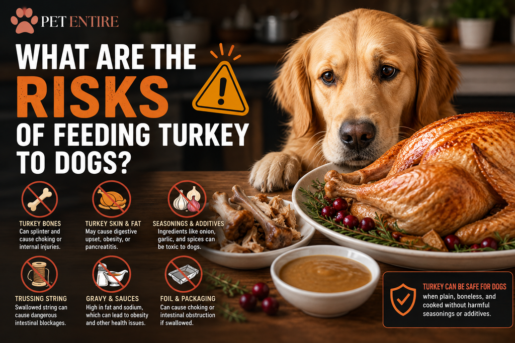 Can Dogs Eat Turkey