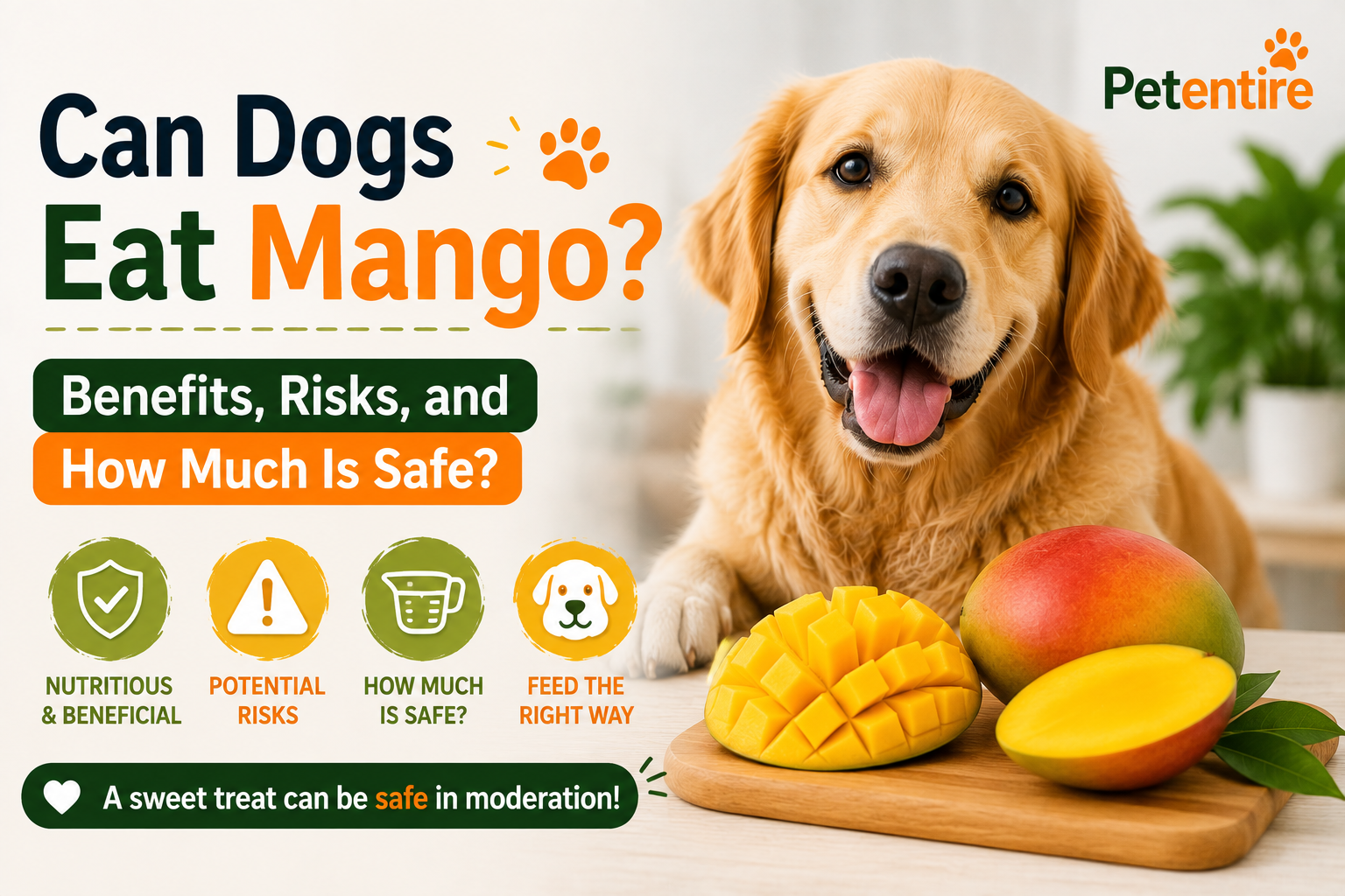 Can Dogs Eat Mango Benefits, Risks, and How Much Is Safe