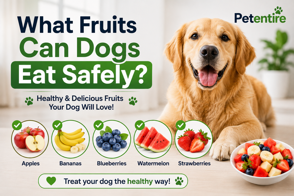 Can Dogs Eat Mango