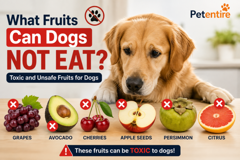 What Fruits Can Dogs Not Eat Toxic and Unsafe Fruits for Dogs