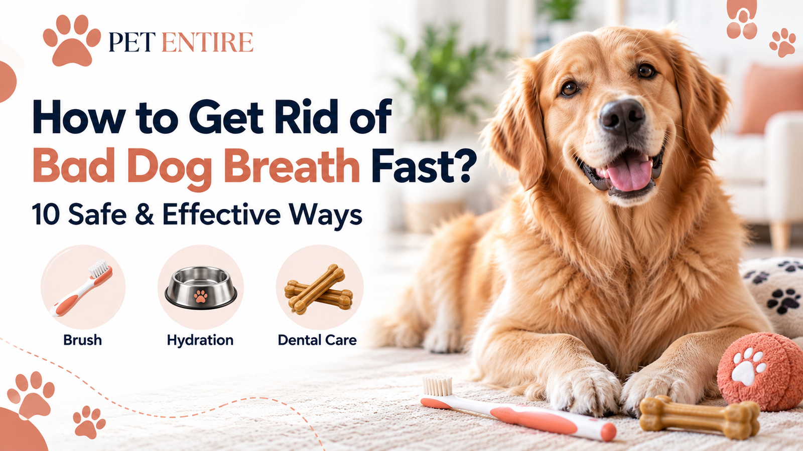 Golden retriever with healthy teeth for a guide on how to get rid of bad dog breath fast